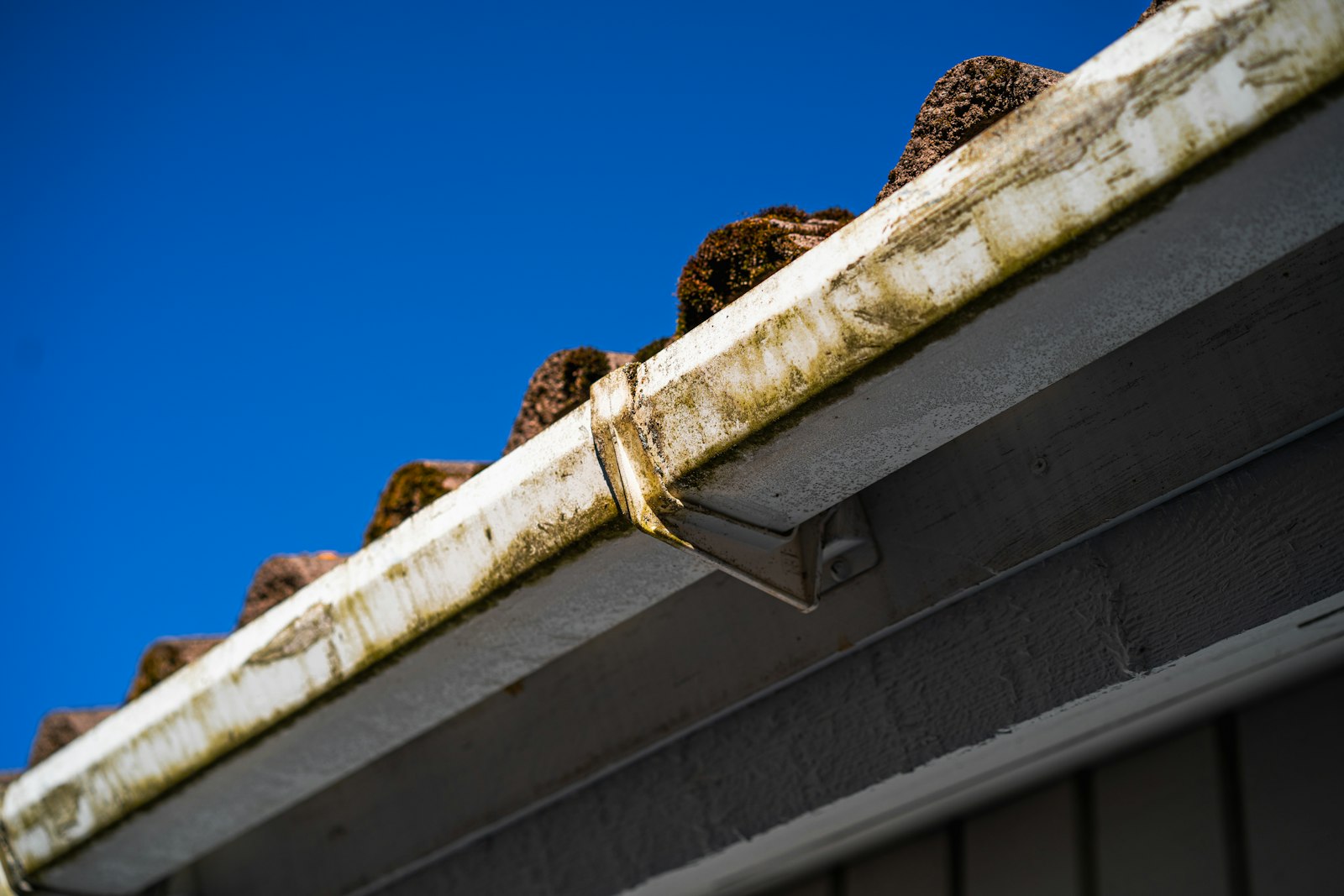 Gutter Cleaning service in Salt Lake City, UT by Spotless Giraffe Washing